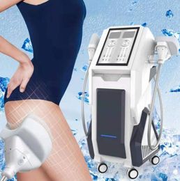 Directly effective multi function Cryolipolysis Fat Removal Machine 360 freeze double chin body slimming freezing weight loss Powerful freezen equipment