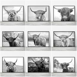 Black and White Highland Cow Canvas Painting Prints and Posters Wild Animals Cattle Canvas Paintings for Living Room Decor