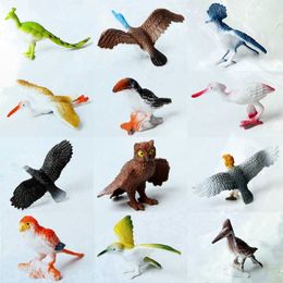 bird toy set