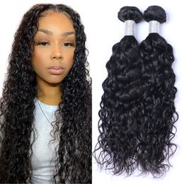Cambodian Human Hair 2 Pieces/lot Water Wave Bundles Double Weft Wet and Wavy Remy Hair Weave