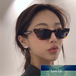 Cateye Sunglasses Women Sexy Retro Small Cat Eye Sun Glasses Brand Designer Colorful Eyewear For Female Oculos De Sol Factory price expert design Quality Latest