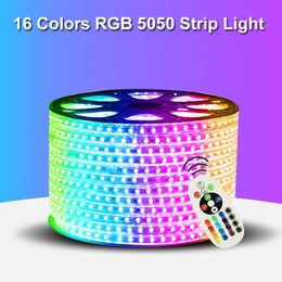 110V 220V LED Strip 5050 50m 100m IP65 Waterproof RGB Dual Colour Rope Lighting For Outdoor With RF Remote Controller In Stock