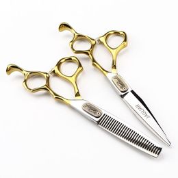 Germany JAGUAR 6.0 inch cutting/thinning hair scissors 9CR 62HRC Hardness golden and silver handle with retail gift case