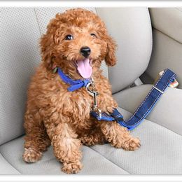 2pcs Dog Cat Car Safety Belt Adjustable Leash Pet Vehicle Seat Belt Harness Dog Lead Clip Safety Lever Traction Collar 211006