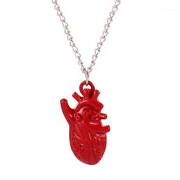 Chains Bloody Red Anatomical Heart Pendant Necklace Love Horror Alterantive Gothic Anatomy Halloween Gift1