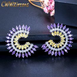 Fashion Brand Jewelry Unique Deisgn Beautiful Round Purple and Yellow CZ Crystal Women Big Stud Earring CZ110 210714