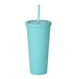 22OZ SKINNY TUMBLERS Matte Coloured Acrylic Tumblers with Lids and Straws Double Wall Plastic Resuable Cup Tumblers sea ship ZZE6098