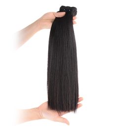 High Quality Straight Double Drawn Raw Human Virgin Hair Weaves 2 bundles