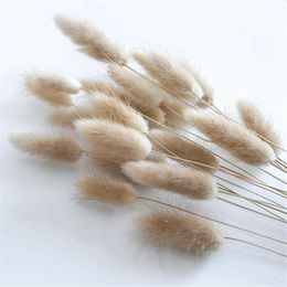 Natural Dried Flowers Lagurus Ovatus Rabbit BunnyTail Grass Bunch Real Flower Bouquet Pampas Grass for Home Wedding Decoration Y0728