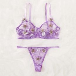Butterfly Embroidery Sexy Erotic Perspective Lace Mesh Lingerie Underwear for Women lette Costumes Thong Bra Sets