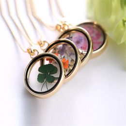 Pendant Necklaces Trendy Fashion Creative Four-leaf Clover Dried Flower Specimen Personality Elegant Women's Party Jewellery Accessory Gift