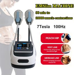 Portable EMT emslim muscle stimulation machine EMS body slimming contouring 2 handles free shipment