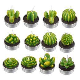 12Pcs Valentine's Day Rose Flower Candle 3D Cactus Candles Simulated Succulent Plant Candles Set For Weddings Home Decoration