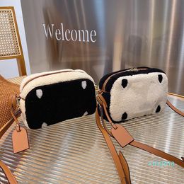 Luxury Designer Women Evening Bags Paris classic Lambs Wool Fur letter Printed Camera Crossbody Handbag Woman Woolen Shoulder Handbags