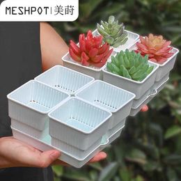 Meshpot 6cm/7cm Succulents Pot Plastic Flower Pot Cactus Planter Root Controlling Good Air System Garden Supplies Home Dec 210615