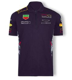 2021 F1 Formula One team uniform car logo Quick-drying and breathable F1 racing suit short-sleeved T-shirt POLO shirt lapel car ov231j