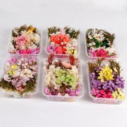 Decorative Flowers & Wreaths Dry Flower Mix 1 Box Real Dried Decor Artificial Wedding Resin Pendant Necklace Jewellery DIY Accessories