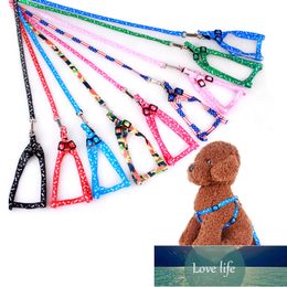Adjustable Nylon Dog Leash and Harness Set for Small Dogs Cats Colorful Printed Dog Chest Straps Traction Rope Pets Leash Belt Factory price expert design Quality