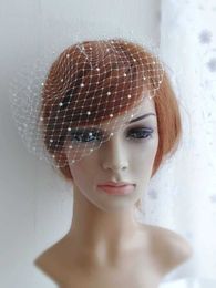 Bridal Birdcage Veil and Bride Beaded Birdcage Veil, Blusher Veil,Short Veil X0726