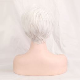 Women Sliver White Short Wigs Natural Hair Heat Resistant Synthetic Fluffy Wig for Womenfactory direct