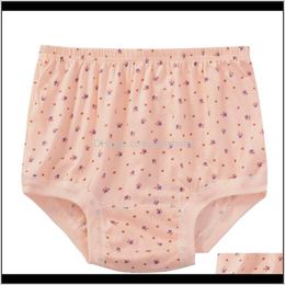 Apparel Drop Delivery 2021 Kj169 Womens Underwear Cotton Panties Female High Waist Big Size Briefs Knickers Sous Vetement Femme Ieanu