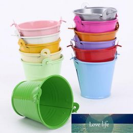 Pastoral Style Colourful Candy Mini Tin Buckets Floor Hanging Flower Pot Planters Garden Supplies