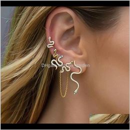 Drop Delivery 2021 Fashion Five-Piece Rhinestone Stud Crystal Snake Shape Earrings Set Punk Party Jewellery For Men Women Jqm2G