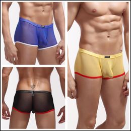 Underpants Sexy Men's Underwear Boxer Pants Gay Man Fishnet Transparent Low-waist Perspective Net Yarn Grid Penis Pouch Mens Briefs