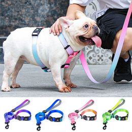 Designer Dog Collar Leash Harness Fashion Gradient Colour Pet Products Chain Small Dog Medium Large Fitting Spring Summer 210712