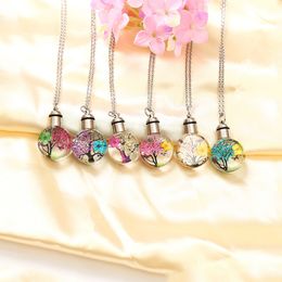 Wholesale Round Dried Flower Glass Pendant Necklace Lady Urn Necklace Keepsake Necklace Memorial Mother Granny Auntie Ash Holder