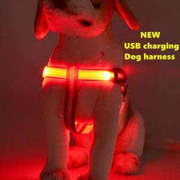 Nylon LED Dog Harness Luminous USB Charging Rope Product Safety Night Flashing Light Collar For Cat Pet Accessories Collars & Leashes