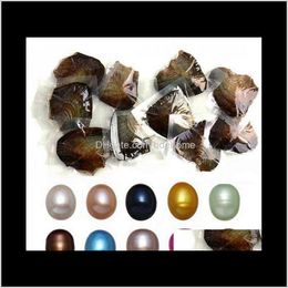 Perle di perle sciolte Consegna goccia di gioielli 2021 Perle naturali tinte all'ingrosso All'interno Festa alla rinfusa Aperto a casa Ostriche di perle con confezionamento sottovuoto Od