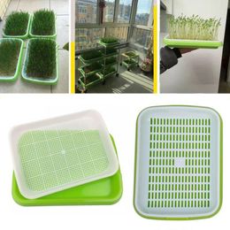 Seed Sprouter Tray Double-layer Soilless Culture Seeds Hydroponic Nursery Plant Pot Hydroponics Garden Planters & Pots