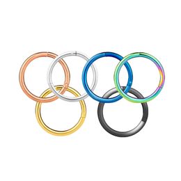 316L Stainless Steel Hypoallergenic Seamless Nose Ring Septum Jewellery Hinged Segment Rings for Body Piercing