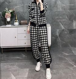 Women's Tracksuits 2021 Knitted Suit Fashion Sweater Harem Pants Net Red Set Lounge Wear 2 Piece Sets Womens Outfits Crop Top1