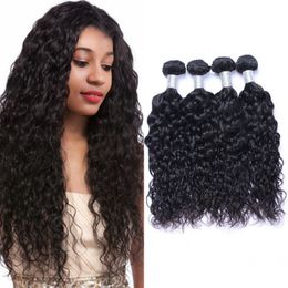 Human Hair Extensions Indian 3 or 4 Bundles Water Wave Natural Color Virgin Double Weft 100g/pc