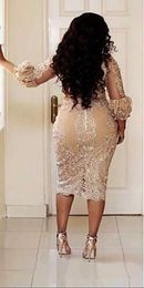 Champagne Lace Short Mother of the Bride Dresses Plus Size 2019 Tea Length 3 4 Long Sleeve Sheath Mother of Groom Gowns M02292Y