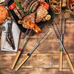 NEWStainless Steel BBQ Marshmallow Roasting Sticks Extending Roaster Telescoping GWF11730