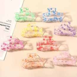 Cute Transparent Fruit Plate Hair Catch Clip Back of Head Small Hairpin Fashion Colourful Woman Jewellery Wholesale