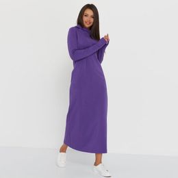 Casual Dresses Hooded Long Sleeves Straight Female Home Basic Solid Loose Pockets Leisure Dress 2021 Winter Pregnant