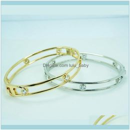Bangle Bracelets Jewelrybangle Fashion Gold Copper Bracelet Bangles For Women Sier-Plate Crystal Hollow Out Jewellery Pulseiras Charms1 Drop D
