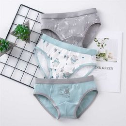 Boys Boxers Back To School Clothes Cute Briefs for Teenage Kids Thong Underwear Cotton Underpants Children Panties Shorts 211122