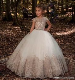 New Luxurious Lace Applique Flower Girl Dresses For Weddings Tulle Ball Gown With Beaded Sash Girls Pageant Dress First Communion Graduation Gow