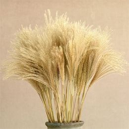 Natural Dried Flower Reed Bouquet for Home Decor Small Pampas Grass Wedding dry Phragmites Bunch Y0630