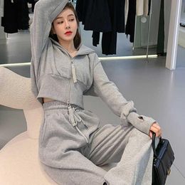 Women's Two Piece Pants High Quality Cotton Jumper Suits + Harem 2/Two Pieces Winter Sets 2022 Oversized Casual Girls Pink Grey Sport Tracks