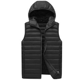 plus size vests australia