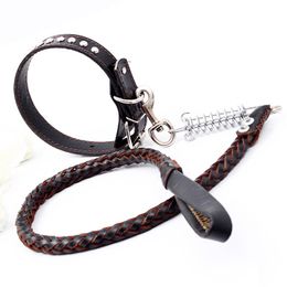 Pet Supplies Wholesale Dog Car Traction Rope Adjustable Safety Protection Belt For Multi-color Optional Collars & Leashes