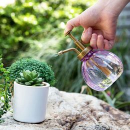 Wasserausrüstungen 350 ml Vintage Kürbisform Blumenpflanze Bonsai können Plastiksprayflasche Mister Pressetyp Gartenwerkzeug Sukkulent