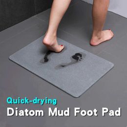 Diatom Mud Absorbent Non-slip Quick-drying Foot Pad Floor Mat Diatomite Bath Mat For Bathroom Entrance Doormat Anti-slip Carpet 210724