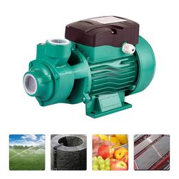 Water Film High Pressure Centrifugal Pump Black Micro Water Pump for Agricultural Garden Water Sprayer Car Wash12V 24V 120W 10/min